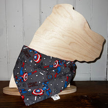 Load image into Gallery viewer, Bully &amp; Friends Boutique - Over the Collar Bandannas - Everyday
