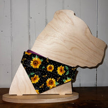 Load image into Gallery viewer, Bully &amp; Friends Boutique - Over the Collar Bandannas - Everyday
