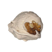 Load image into Gallery viewer, Maple Walnut Ice Cream
